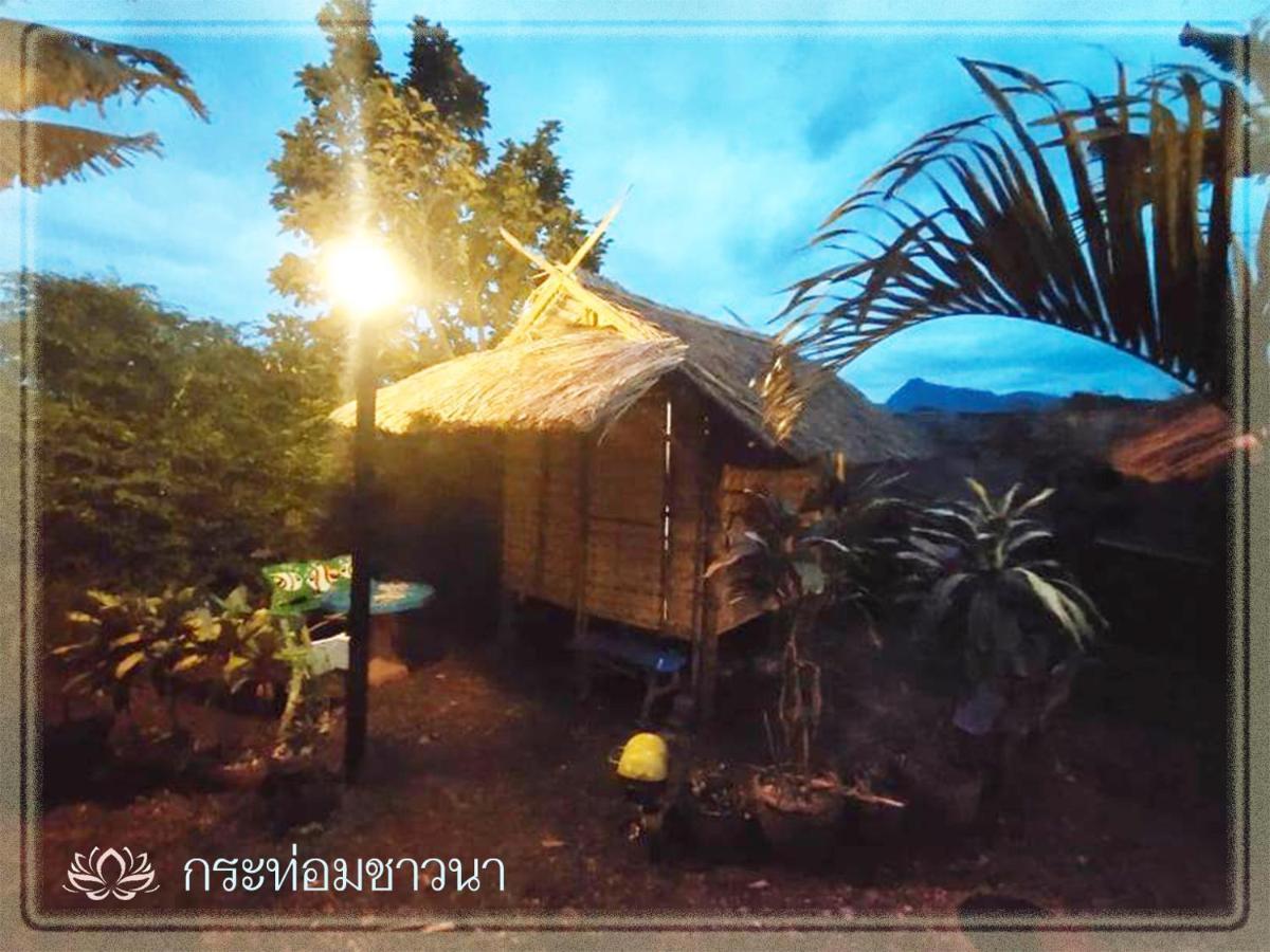 Bua Patumma 2* Mae Sai